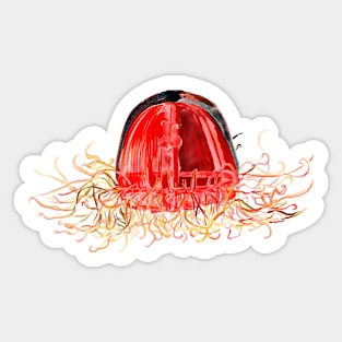 Crossota Jelly Sticker